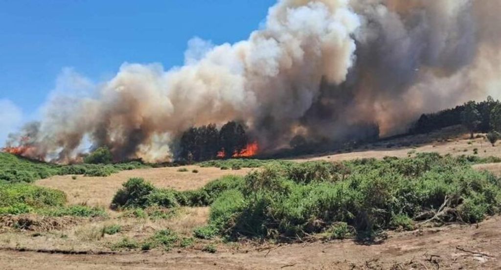 Icendio Traiguen Icendio Traiguen