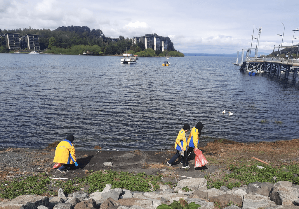 Limpieza lago Limpieza lago