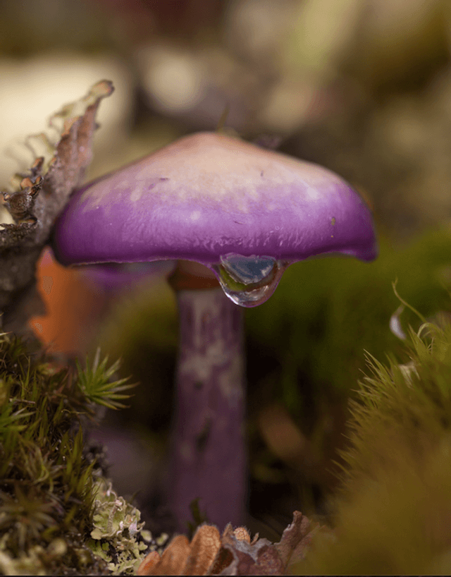 captura-de-pantalla-2022-05-12-a-las-111039 captura-de-pantalla-2022-05-12-a-las-111039