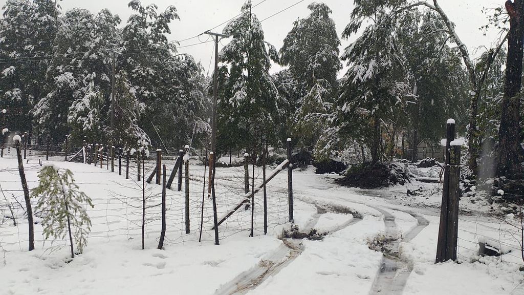 WhatsApp Image 2024-05-07 at 13 WhatsApp Image 2024-05-07 at 13