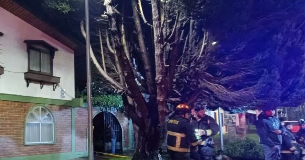 imagen-wp-51-1200x630 imagen-wp-51-1200x630