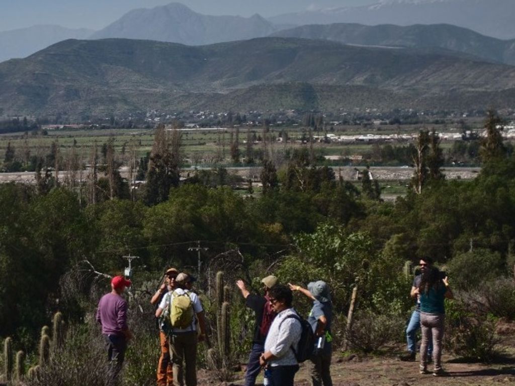 1fundación Lepe (1) 1fundación Lepe (1)