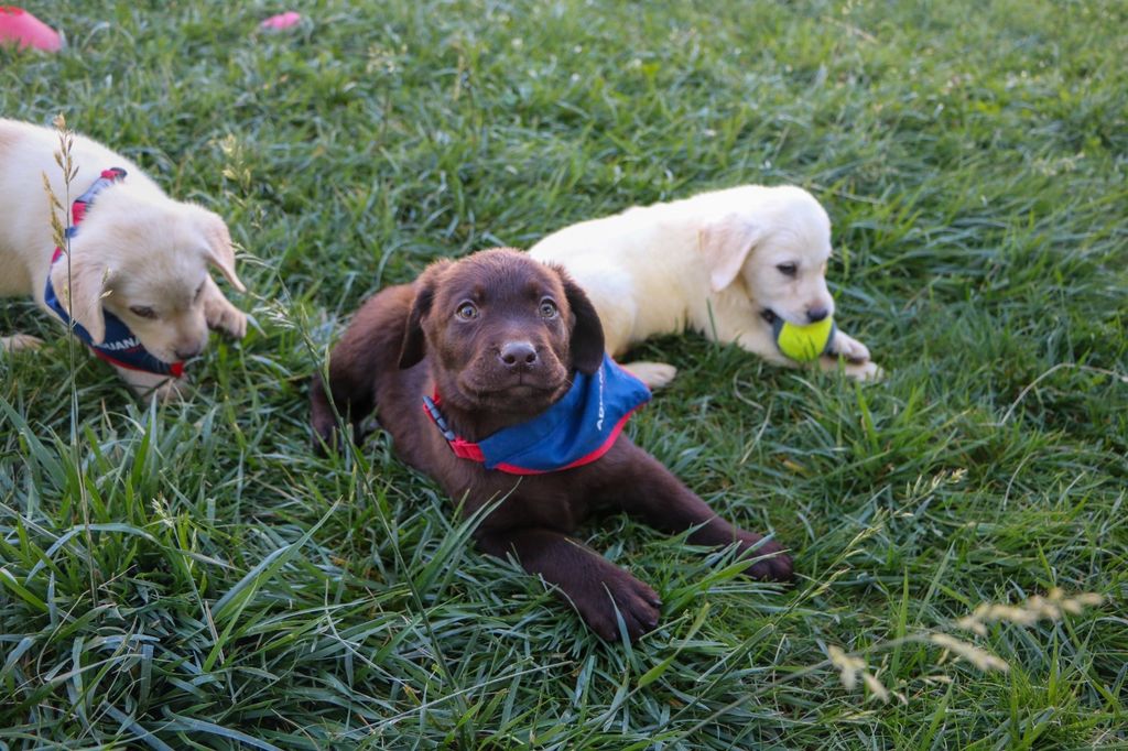 PHOTO-2026-04-20-10-09-26 PHOTO-2026-04-20-10-09-26