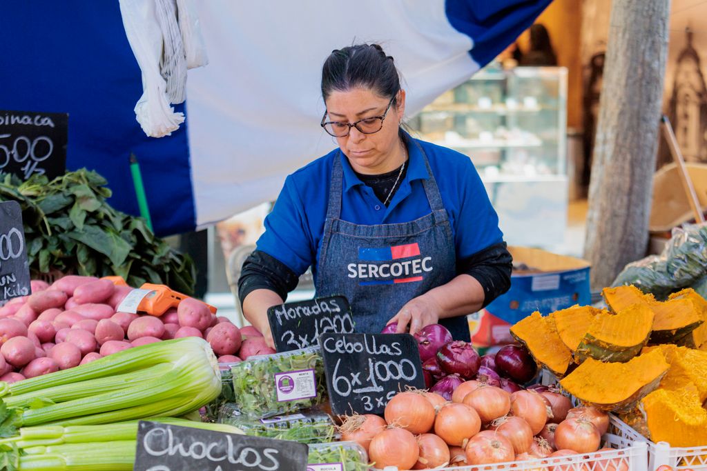 Lanzamiento Ferias Libres 3 Lanzamiento Ferias Libres 3