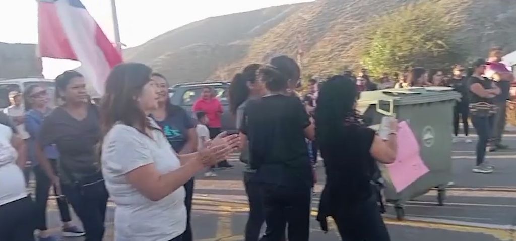 LAS VIZCACHAS LAS VIZCACHAS