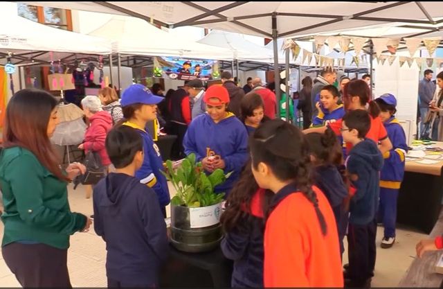 FERIA AMBIENTAL FERIA AMBIENTAL