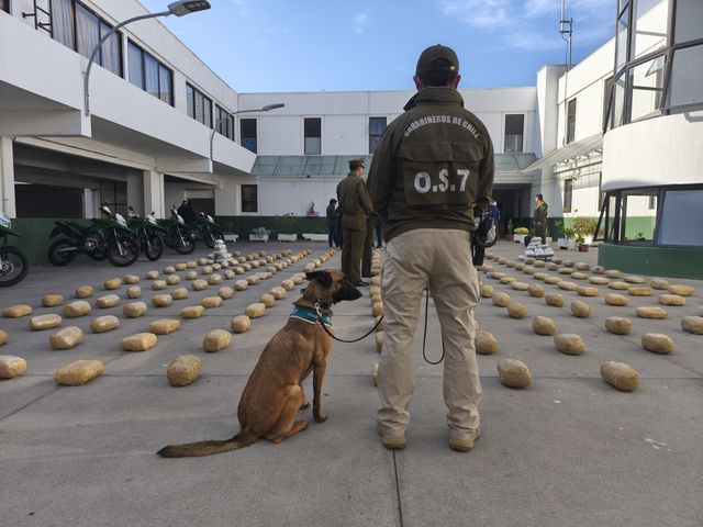 WhatsApp Image 2025-06-30 at 1 WhatsApp Image 2025-06-30 at 1