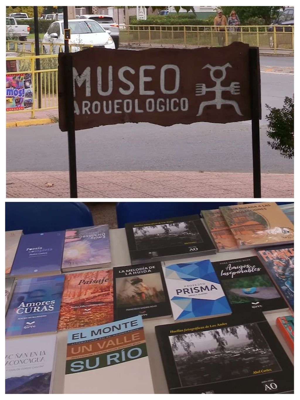 MUSEO LIBRO MUSEO LIBRO