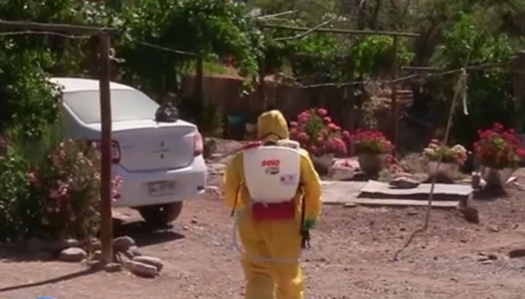 AEDES URBANO AEDES URBANO