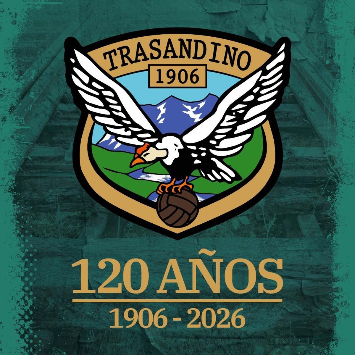 Festejos por los 120 años de Trasandino tendrán a Iván Zamorano como invitado de honor