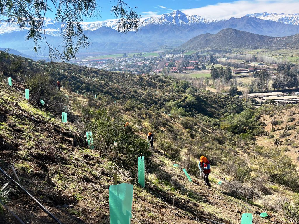 foto cerro arboles foto cerro arboles