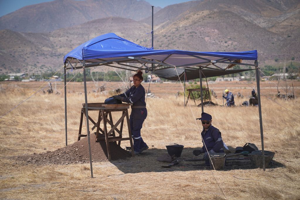 WhatsApp Image 2025-03-25 at 12 WhatsApp Image 2025-03-25 at 12