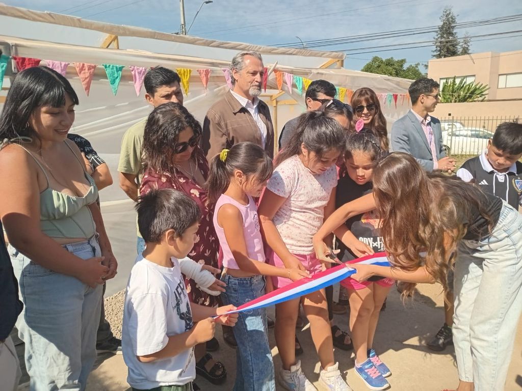 WhatsApp Image 2025-02-05 at 12 WhatsApp Image 2025-02-05 at 12