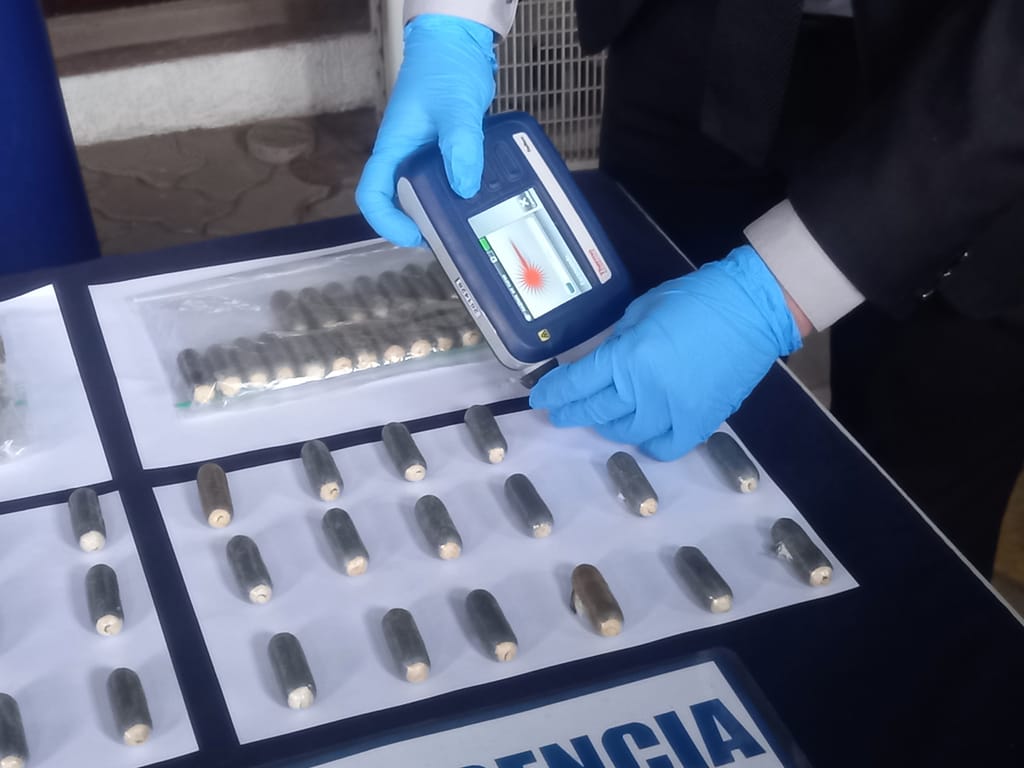 1OVOIDES AGOSTO 2023 (3) 1OVOIDES AGOSTO 2023 (3)