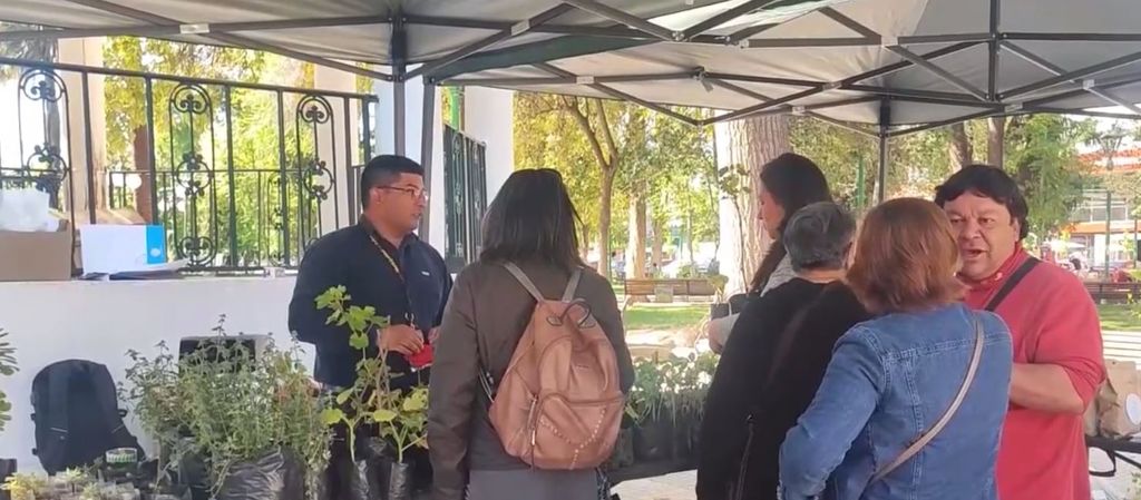 intercambio de semillas intercambio de semillas