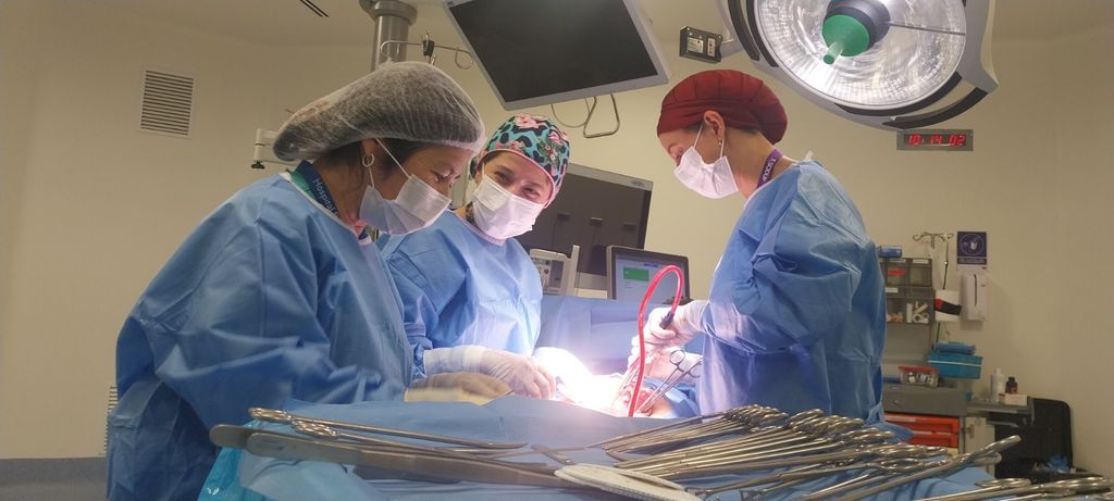 WhatsApp Image 2025-09-23 at 5