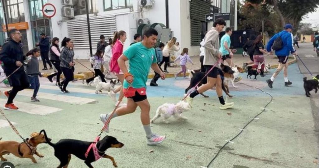 WhatsApp Image 2025-07-29 at 5 WhatsApp Image 2025-07-29 at 5