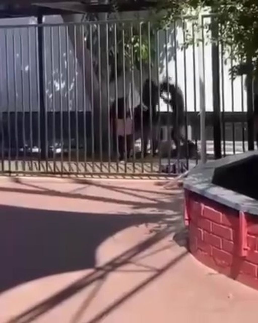 WhatsApp Image 2024-11-13 at 1 WhatsApp Image 2024-11-13 at 1