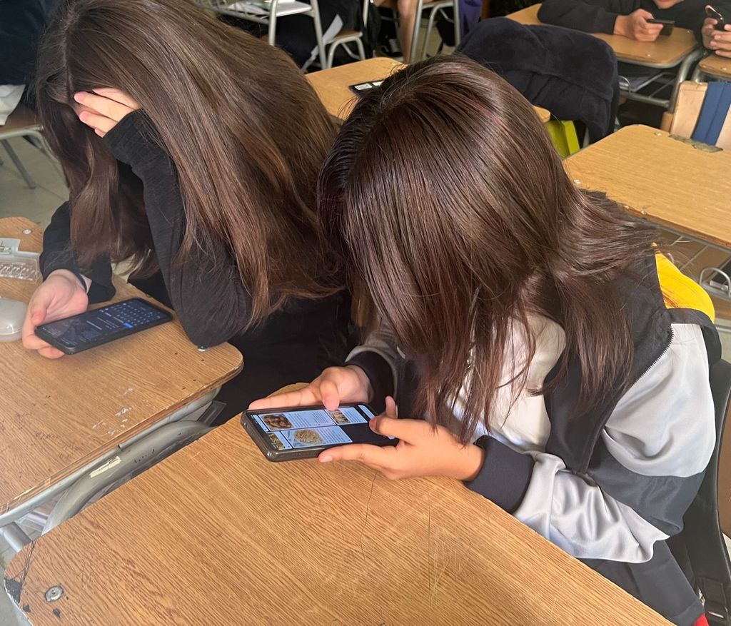 1INTERCAMBIO VIRTUAL 1INTERCAMBIO VIRTUAL