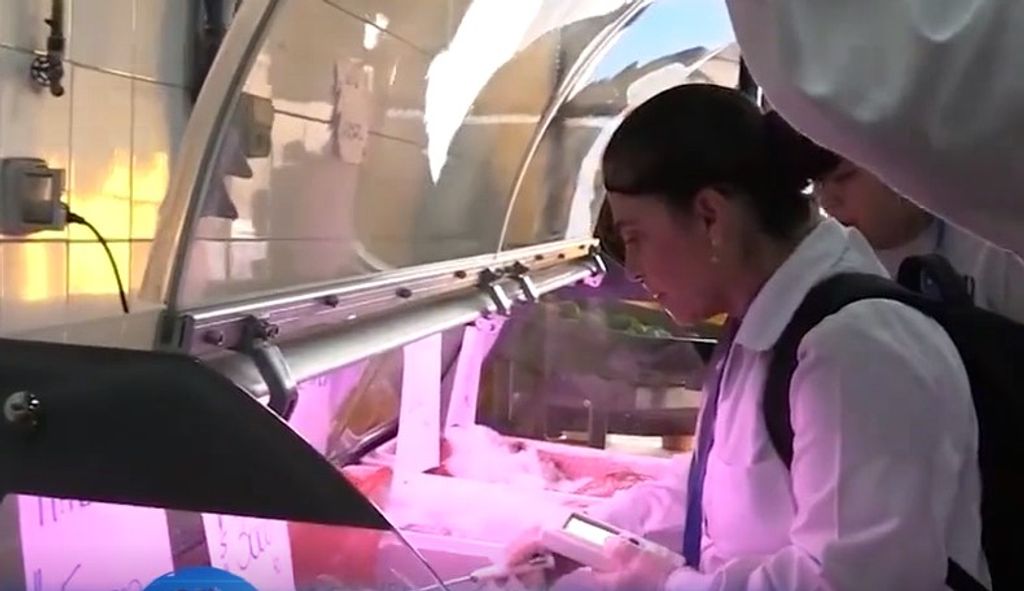 INTOXICACIÓN ALIMENTARIA INTOXICACIÓN ALIMENTARIA