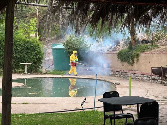 WhatsApp Image 2026-01-09 at 5 WhatsApp Image 2026-01-09 at 5