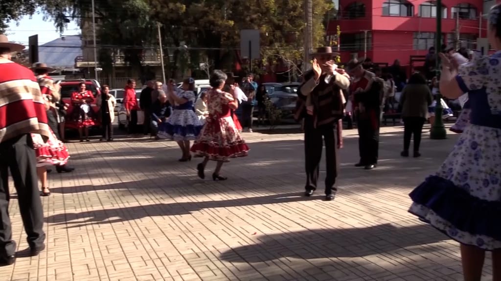 Celebración día cuequero y cuequera en San Felipe Celebración día cuequero y cuequera en San Felipe