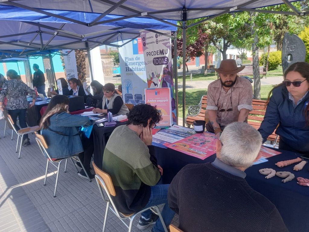 GOBIERNO EN TERRENO (2) GOBIERNO EN TERRENO (2)