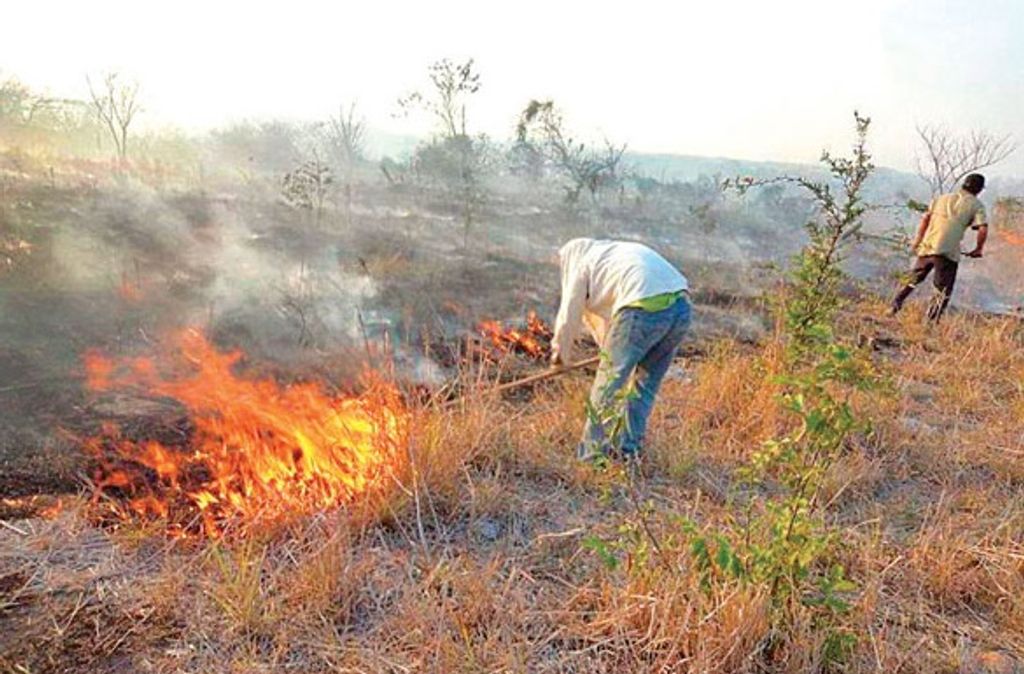 QUEMAS AGRICOLAS QUEMAS AGRICOLAS