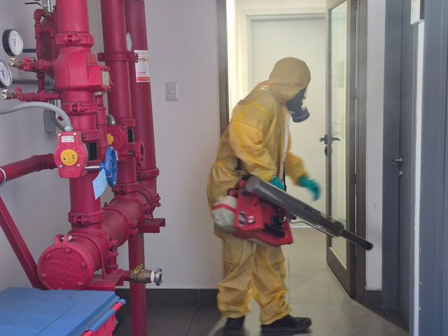 FUMIGACIÓN FUMIGACIÓN