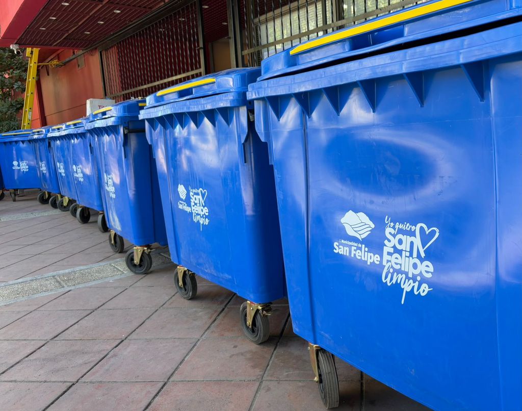 WhatsApp Image 2025-01-02 at 1 WhatsApp Image 2025-01-02 at 1