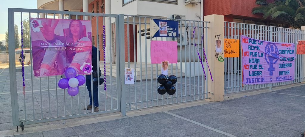 REFORMALIZACIÓN FEMICIDIO REFORMALIZACIÓN FEMICIDIO