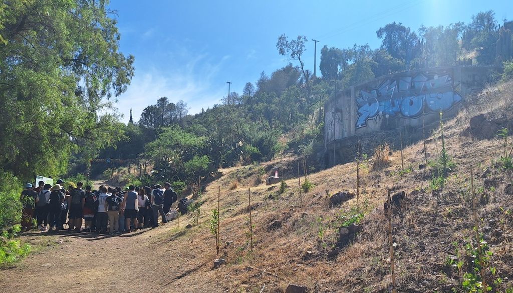 VIVO CURIMON VIVO CURIMON