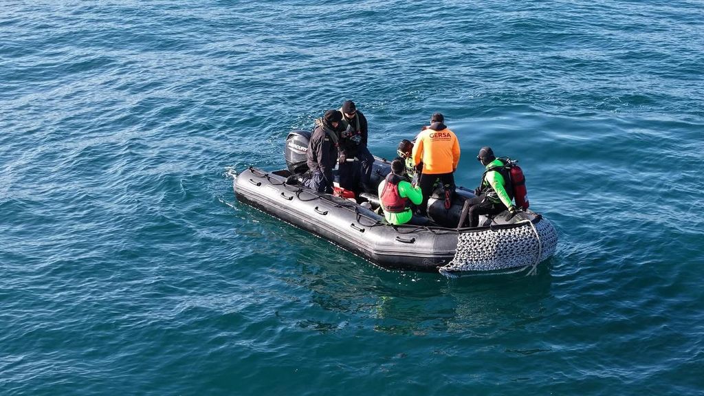 WhatsApp Image 2025-06-09 at 9 WhatsApp Image 2025-06-09 at 9