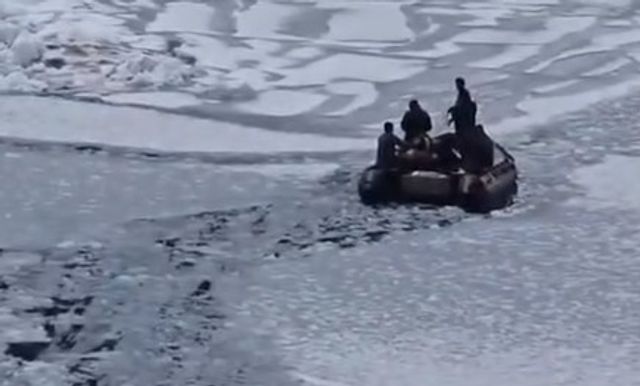AVALANCHA