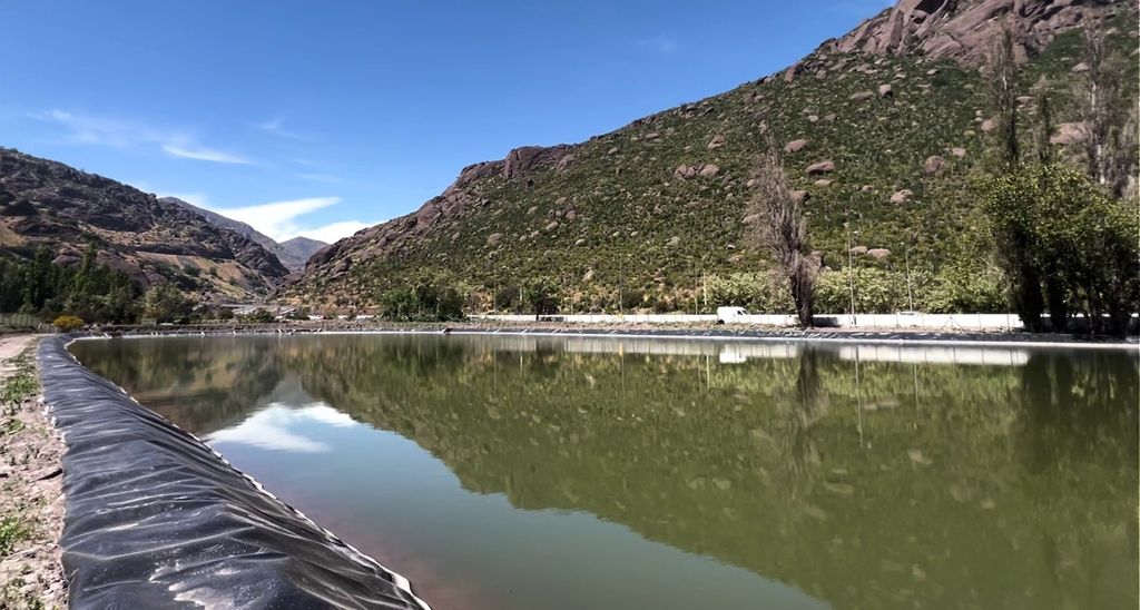 TRANQUE LOS LOROS TRANQUE LOS LOROS