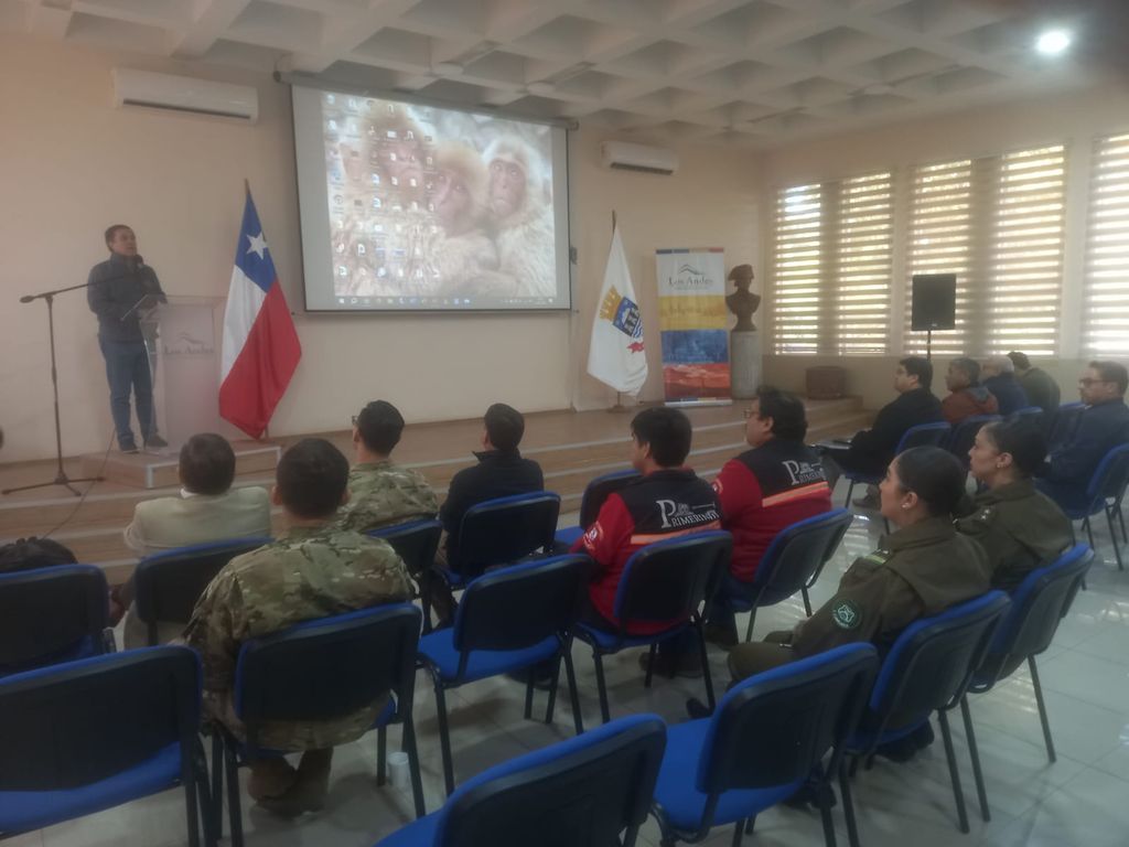 COGRID COMUNAL COGRID COMUNAL