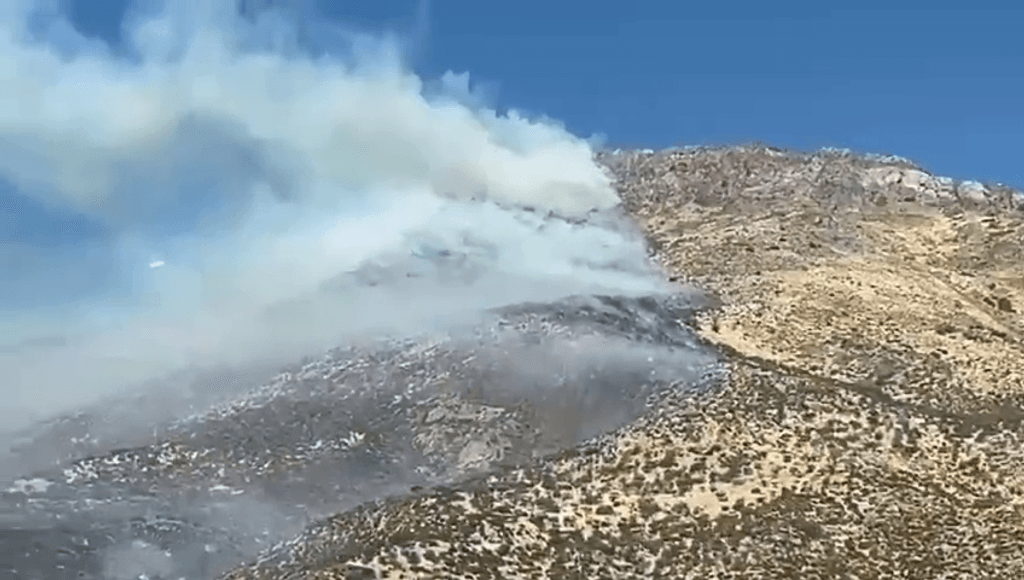 90 hectáreas fueron consumidas tras la reactivación de incendio forestal en rinconada 90 hectáreas fueron consumidas tras la reactivación de incendio forestal en rinconada