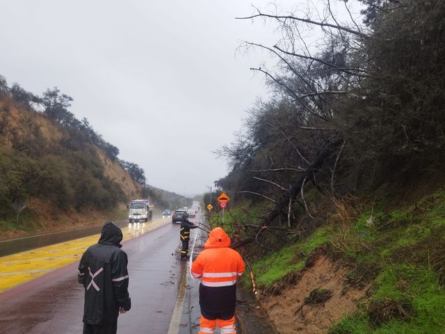 WhatsApp Image 2025-06-12 at 5 WhatsApp Image 2025-06-12 at 5