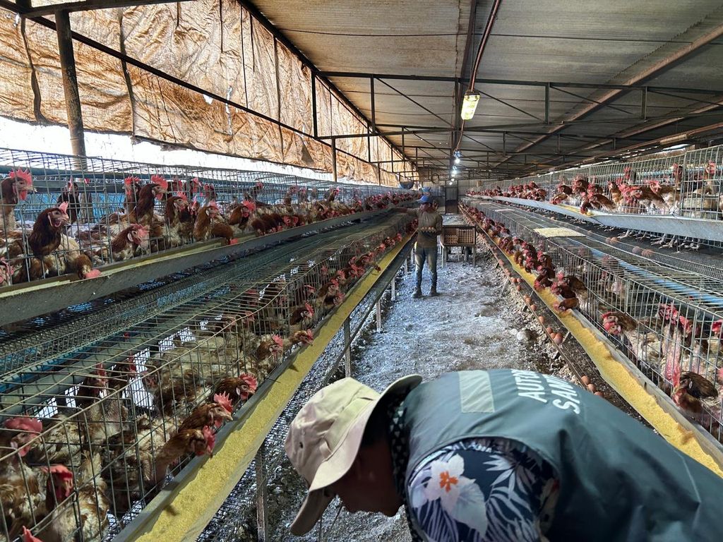 1AVICOLA CLAUSURADA (3) 1AVICOLA CLAUSURADA (3)