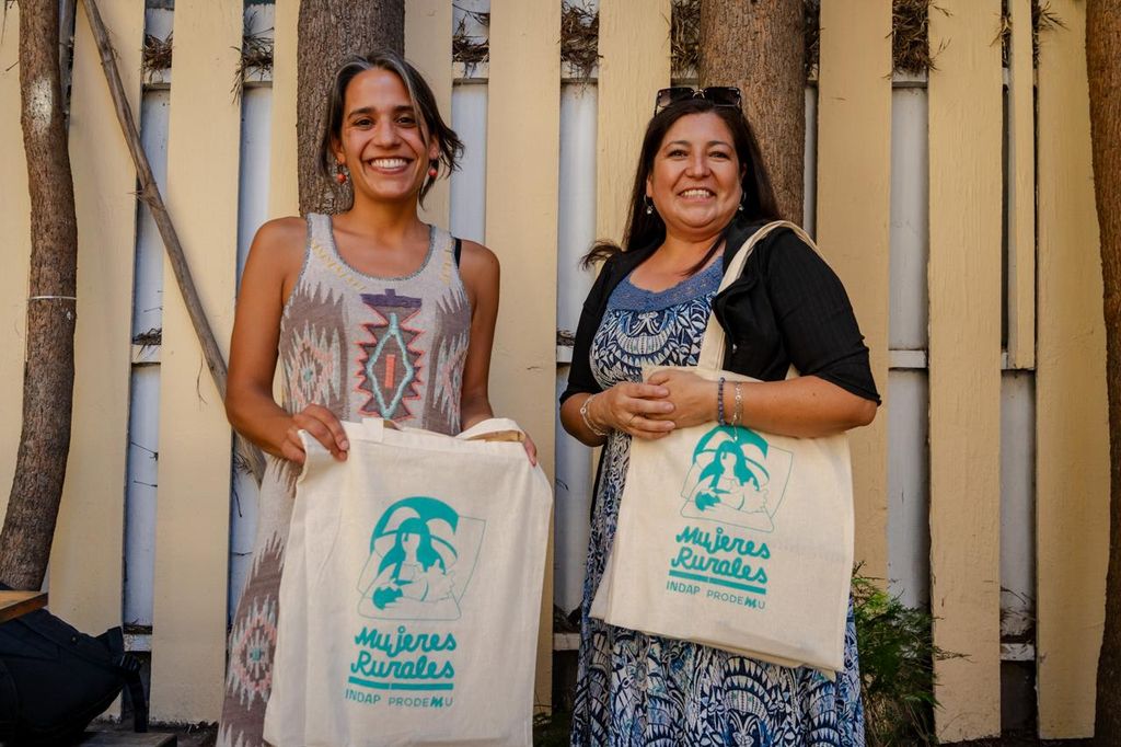 Presentación Resultados Estudio Programa Mujeres Rurales INDAP-Prodemu (20) Presentación Resultados Estudio Programa Mujeres Rurales INDAP-Prodemu (20)