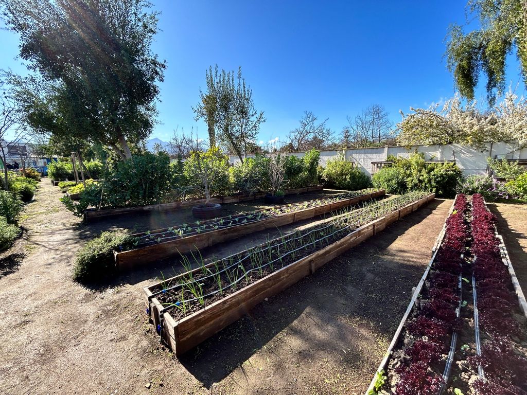 WhatsApp Image 2024-08-23 at 2 WhatsApp Image 2024-08-23 at 2