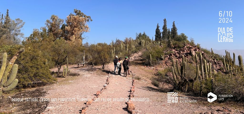 WhatsApp Image 2024-10-02 at 1 WhatsApp Image 2024-10-02 at 1