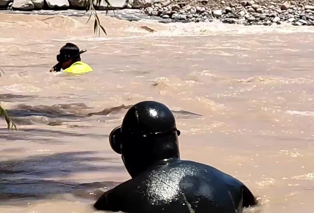 1BUZOS EN RÍO (1) 1BUZOS EN RÍO (1)