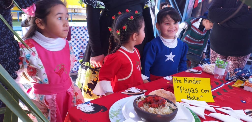 escuela ignacio carrera pinto escuela ignacio carrera pinto