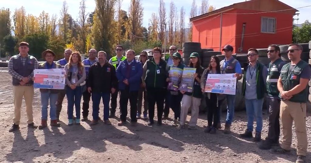 mosca fruta ok mosca fruta ok