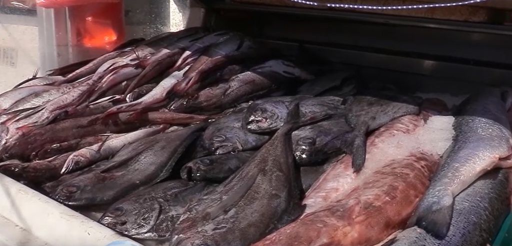 PESCADOS PESCADOS