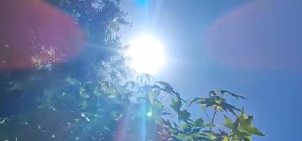 SHOCK DE CALOR SHOCK DE CALOR