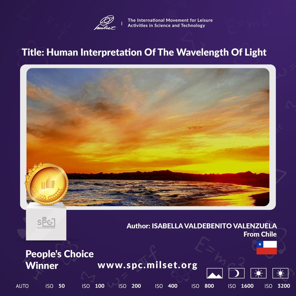 1EL SAUCE GANÓ 1EL SAUCE GANÓ