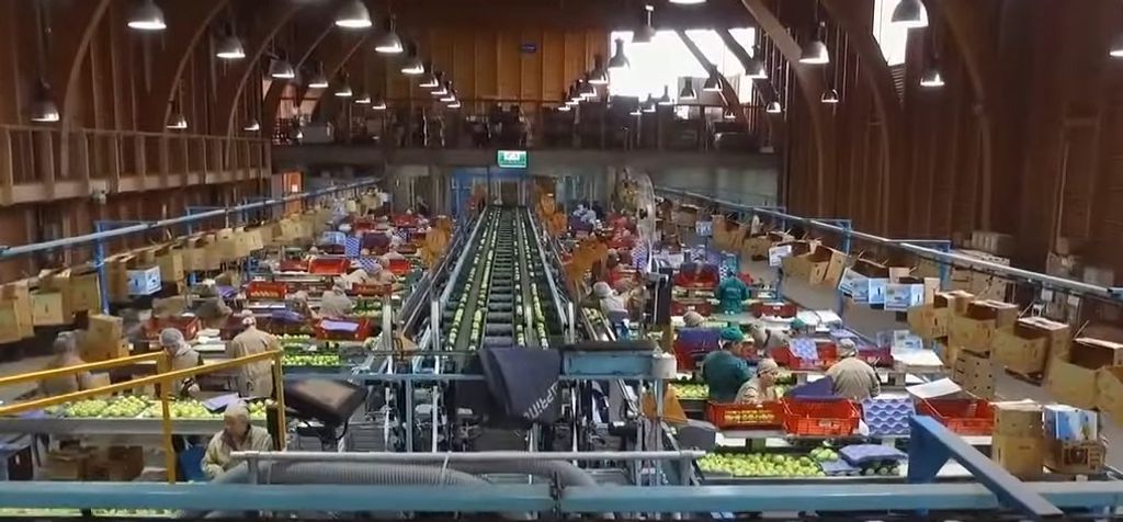 san clemente san clemente