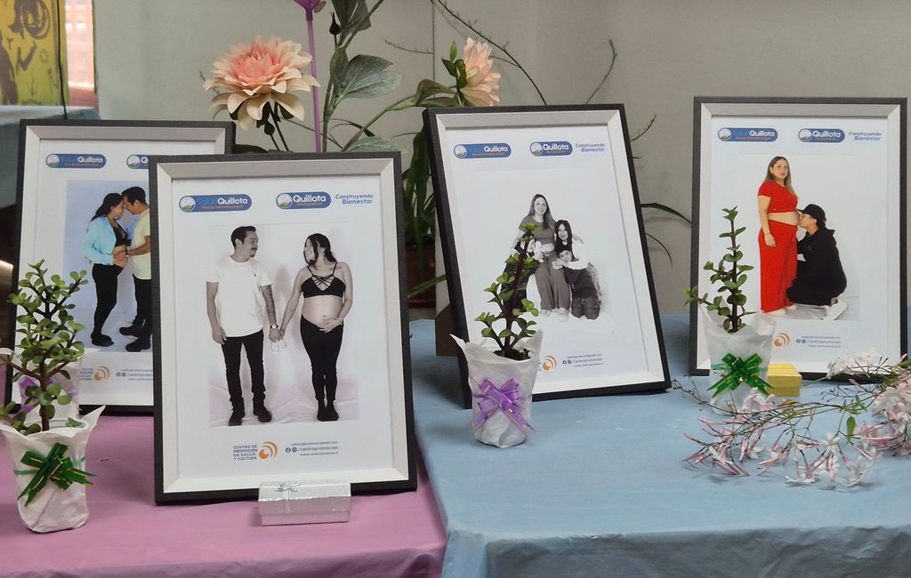 Quillotano 15 Quillotano 15